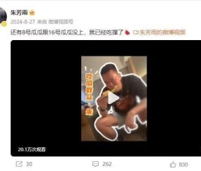 谜语时隔1年揭晓！朱芳雨去年8月曾发博：还有8号&amp;amp;16号瓜瓜没上