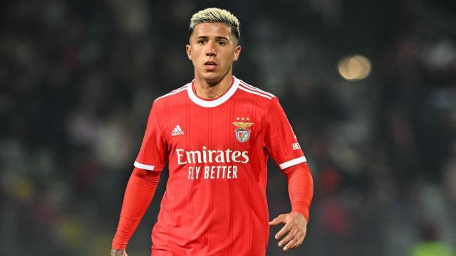 skysports-enzo-fernandez-benfica_6040555.jpg